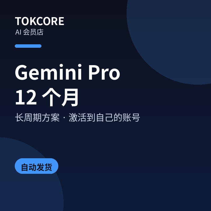 Gemini Pro 12个月